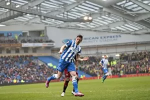 Images Dated 3rd April 2015: Greg Halford in Action: Brighton and Hove Albion vs. Norwich City, Sky Bet Championship, April 2015