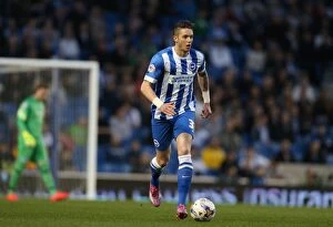 Images Dated 14th April 2015: Greg Halford in Action: Brighton and Hove Albion vs Huddersfield Town AFC