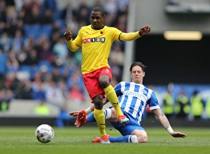 Watford 25APR15 Prints: Greg Halford in Action: Brighton & Hove Albion vs