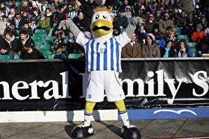 Images Dated 30th January 2010: Gully - Family Stand