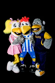 Gully, Sammy, and Sally: Brighton & Hove Albion's Iconic Trio