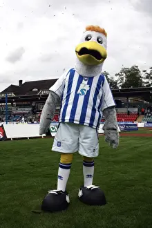 Gully, Sammy, and Sally: The Iconic Trio of Brighton & Hove Albion FC