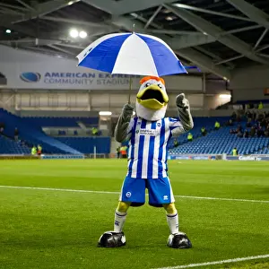 Gully, Sammy, and Sally: The Unforgettable Trio of Brighton & Hove Albion FC
