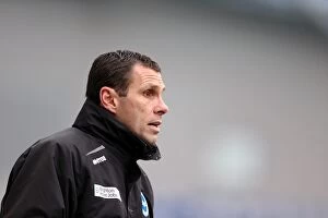 Images Dated 23rd February 2013: Gus Poyet: Brighton & Hove Albion Manager in Npower Championship Clash Against Burnley at Amex