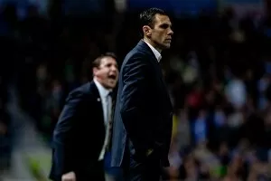 Images Dated 7th March 2012: Gus Poyet during Brighton & Hove Albion v Cardiff City v Npower Championship
