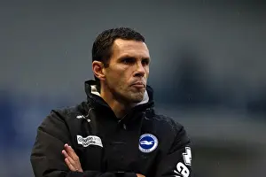 Gus Poyet Guides Brighton & Hove Albion Against Bolton Wanderers in Npower Championship Showdown at Amex Stadium (Nov 24, 2012)