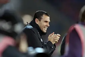 Gus Poyet Leads Brighton & Hove Albion at Cardiff City Stadium, Npower Championship, February 19, 2013