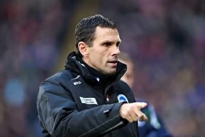 Images Dated 1st December 2012: Gus Poyet Leads Brighton & Hove Albion Against Crystal Palace, Npower Championship, December 1, 2012