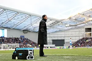 Gus Poyet: Masterminding Brighton and Hove Albion FC's Success