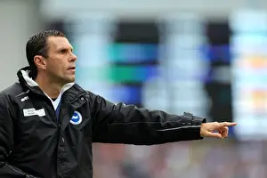 Event:bw 20130504 Prints: Gus Poyet's Brighton & Hove Albion Face Championship Showdown Against Wolverhampton Wanderers