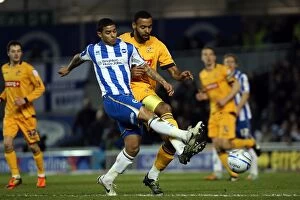 Images Dated 14th February 2012: A Historic 2011-12 Home Game: Brighton & Hove Albion vs. Millwall