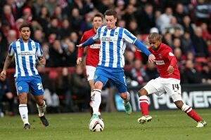 Images Dated 8th December 2012: Will Hoskins in Action: Brighton & Hove Albion vs Charlton Athletic, December 8, 2012