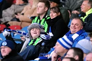 Images Dated 17th November 2012: Huddersfield Town - 17-11-2012