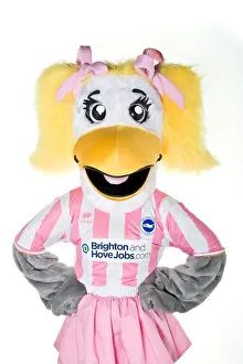 The Iconic Trio: Gully, Sammy, and Sally of Brighton & Hove Albion FC