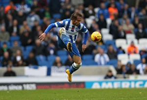 Inigo Calderon in Action: Brighton and Hove Albion vs. Wigan Athletic, Sky Bet Championship, 8 November 2014
