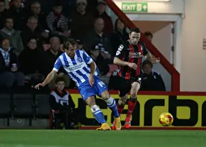 Bournemouth 01NOV14 Prints: Inigo Calderon at American Express Community Stadium: Brighton and Hove Albion vs