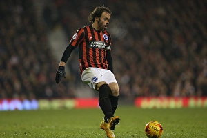 Inigo Calderon: Battle at Craven Cottage - Fulham vs. Brighton & Hove Albion, 2014