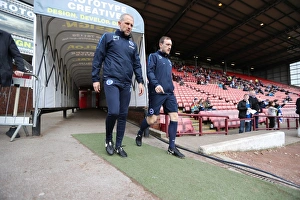 Intense Championship Showdown: Barnsley vs. Brighton and Hove Albion at Oakwell (18FEB17)