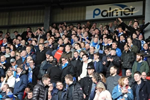 Intense Championship Showdown: Barnsley vs. Brighton and Hove Albion at Oakwell (18FEB17)