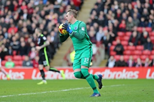 Intense Championship Showdown: Barnsley vs. Brighton and Hove Albion at Oakwell (18FEB17)