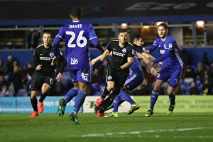 Intense Championship Showdown: Birmingham City vs. Brighton and Hove Albion at St. Andrews (17DEC16)