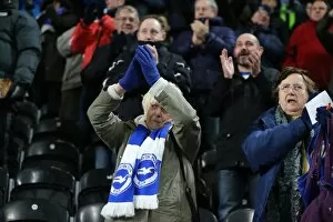 Images Dated 16th February 2016: Intense Championship Showdown: Brighton and Hove Albion vs. Hull City (16 February 2016)