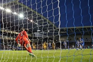 Images Dated 15th April 2016: Intense Championship Showdown: Brighton and Hove Albion vs. Fulham (15th April 2016)