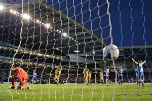 Images Dated 15th April 2016: Intense Championship Showdown: Brighton and Hove Albion vs. Fulham (15th April 2016)