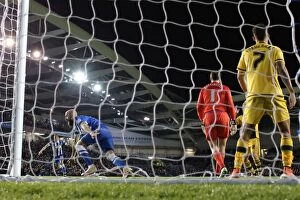 Images Dated 15th April 2016: Intense Championship Showdown: Brighton & Hove Albion vs. Fulham - American Express Community