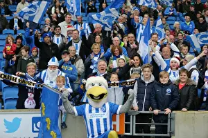 Intense Championship Showdown: Brighton & Hove Albion vs. Middlesbrough (19DEC15)