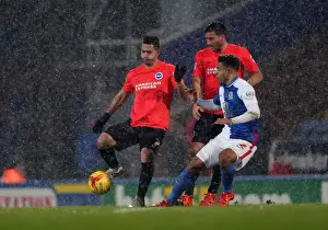 Intense Championship Showdown: Brighton and Hove Albion vs. Blackburn Rovers at Ewood Park (16 January 2016)