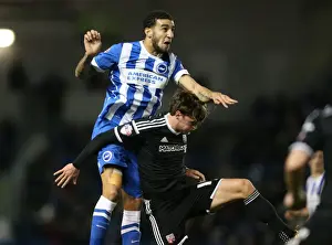 Intense Championship Showdown: Brighton and Hove Albion vs. Brentford (05FEB16)