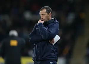 Intense Championship Showdown: Brighton and Hove Albion vs. Hull City (16 February 2016)