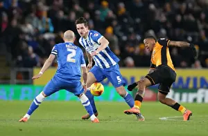 Intense Championship Showdown: Brighton and Hove Albion vs. Hull City (16 February 2016)