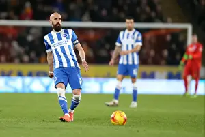 Intense Championship Showdown: Brighton and Hove Albion vs. Hull City - 16 February 2016