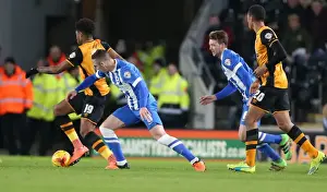 Intense Championship Showdown: Brighton and Hove Albion vs. Hull City (16 February 2016)