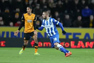 Intense Championship Showdown: Brighton and Hove Albion vs. Hull City (16 February 2016)