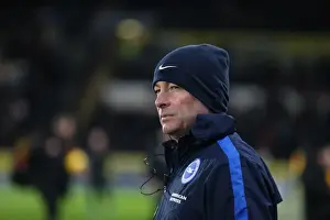 Intense Championship Showdown: Brighton and Hove Albion vs. Hull City (16 February 2016)
