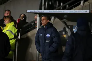 Intense Championship Showdown: Brighton and Hove Albion vs. Hull City (16 February 2016)