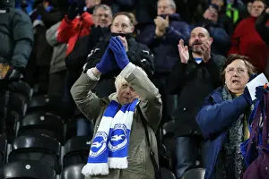 Intense Championship Showdown: Brighton and Hove Albion vs. Hull City (16 February 2016)