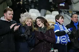Intense Championship Showdown: Brighton and Hove Albion vs. Hull City (16 February 2016)