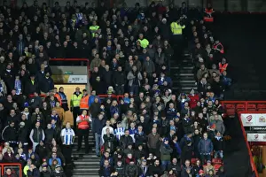 Intense Championship Showdown: Brighton and Hove Albion vs. Bristol City (23FEB16)