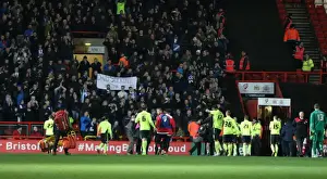 Intense Championship Showdown: Brighton and Hove Albion vs. Bristol City (23FEB16)