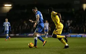 Intense Championship Showdown: Brighton & Hove Albion vs. Leeds United - 29 February 2016