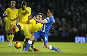 Intense Championship Showdown: Brighton & Hove Albion vs. Leeds United - 29 February 2016