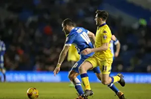 Intense Championship Showdown: Brighton & Hove Albion vs. Leeds United - 29 February 2016