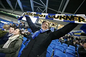 Intense Championship Showdown: Brighton and Hove Albion vs. Reading - 15th March 2016
