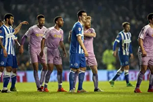 Intense Championship Showdown: Brighton and Hove Albion vs. Reading - 15 March 2016