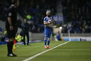 Intense Championship Showdown: Brighton and Hove Albion vs. Reading (15 March 2016)
