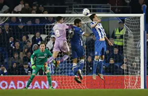 Intense Championship Showdown: Brighton and Hove Albion vs. Reading - 15th March 2016